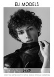 VLAD